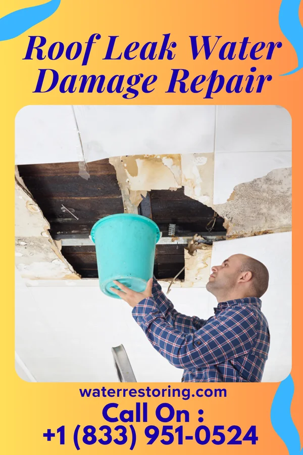 Roof Leak Water Damage Repair in Roseville, PA