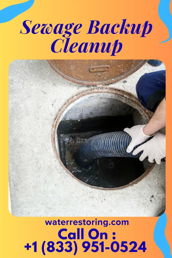Sewage Backup Cleanup in Roseville, PA