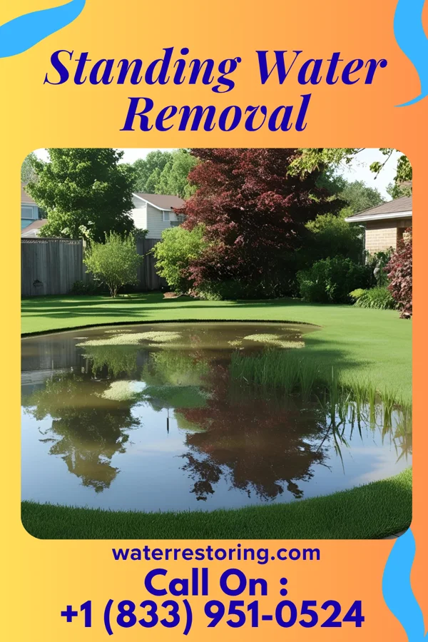 Standing Water Removal in Roseville, PA